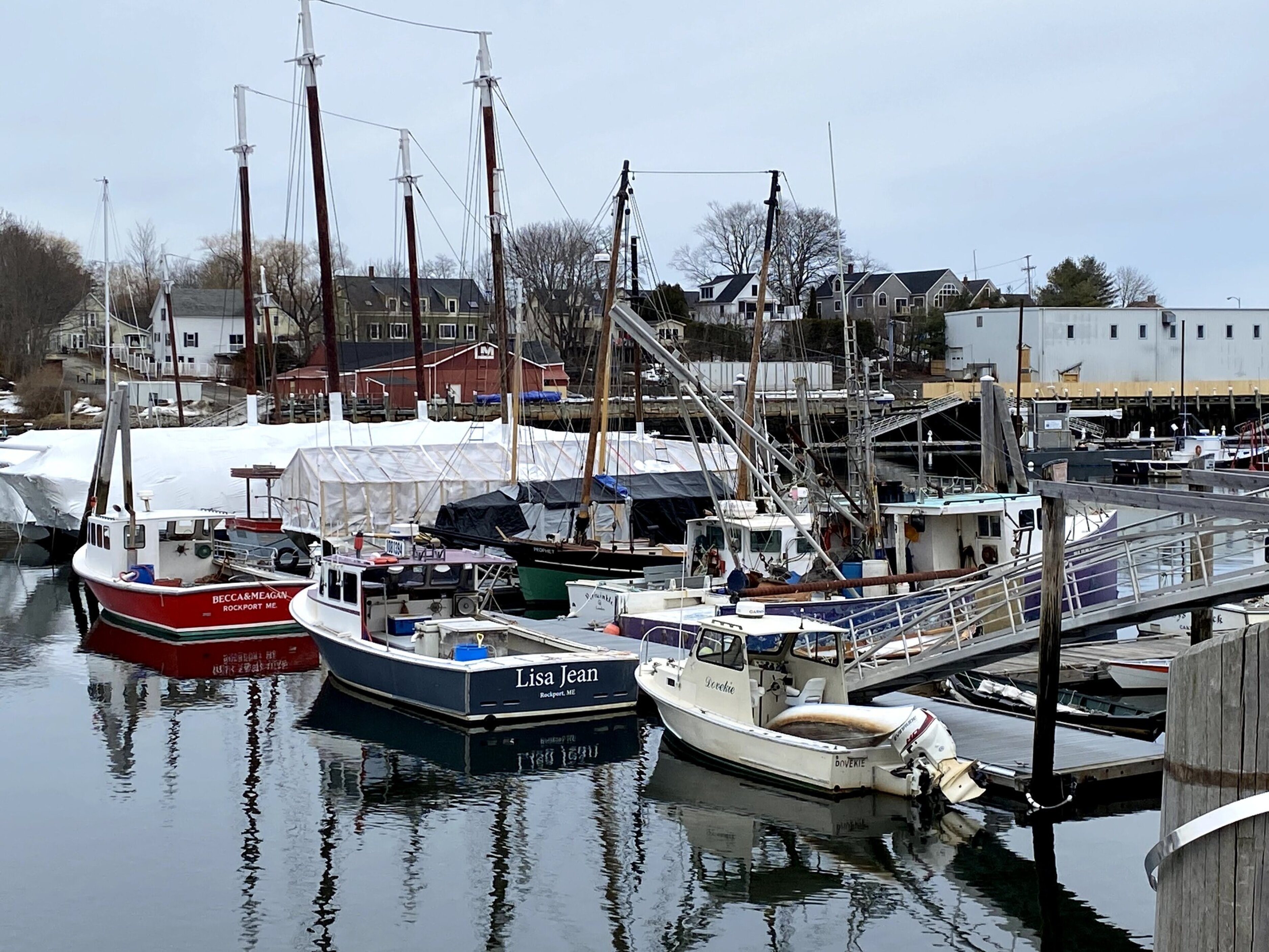 Camden Harbor